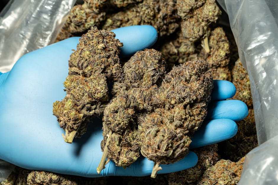 Покупка марихуаны в Москве