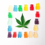 Преимущества покупки Renault в автосалоне img-101.jpg