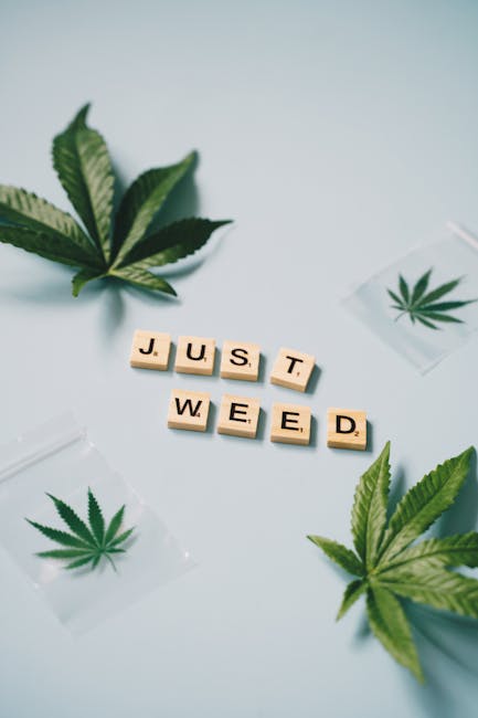 Покупка наркотиков через закладки онлайн