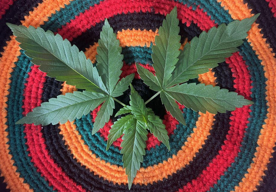 Купить героин оптом и в розницу с доставкой по России