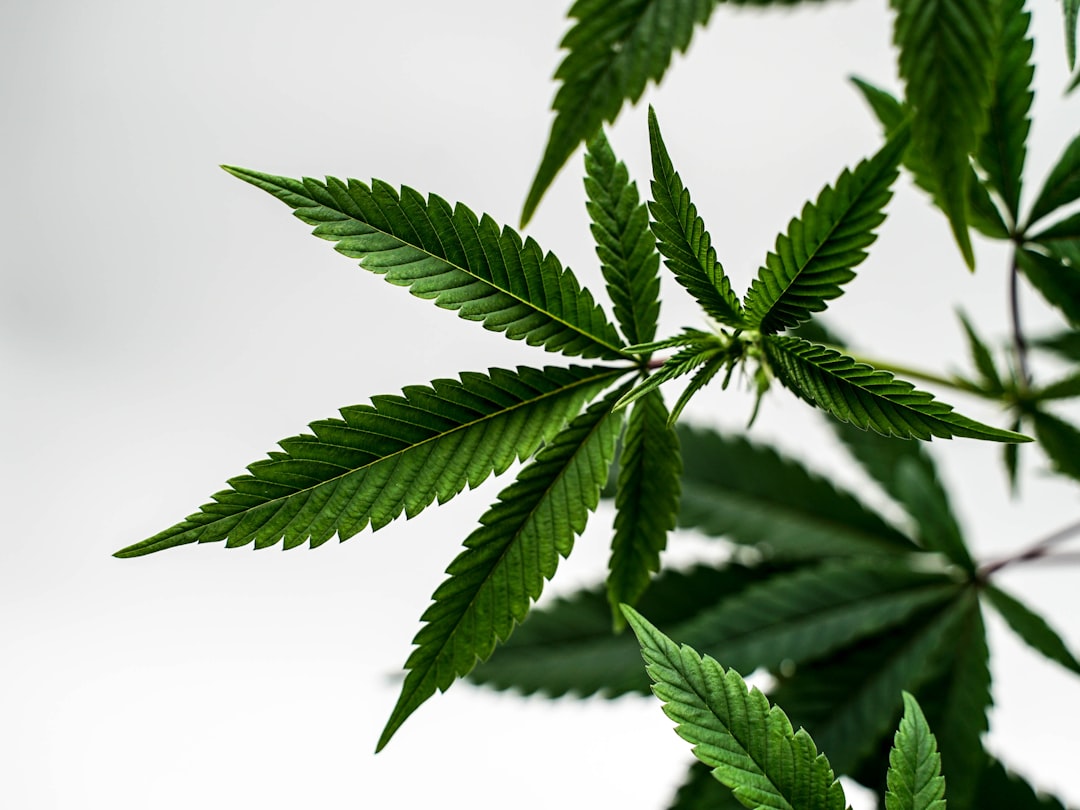 Проблемы распространения наркотических средств в Крыму