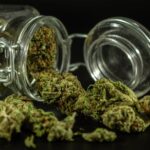 Свойства и применение конопли в различных областях img-210.jpg