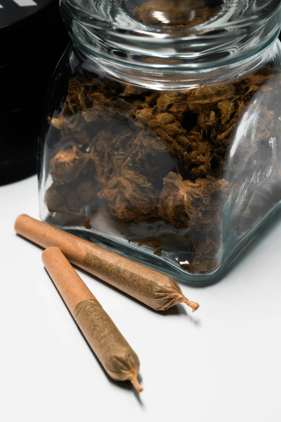 Выращивание конопли и покупка саженцев конопли