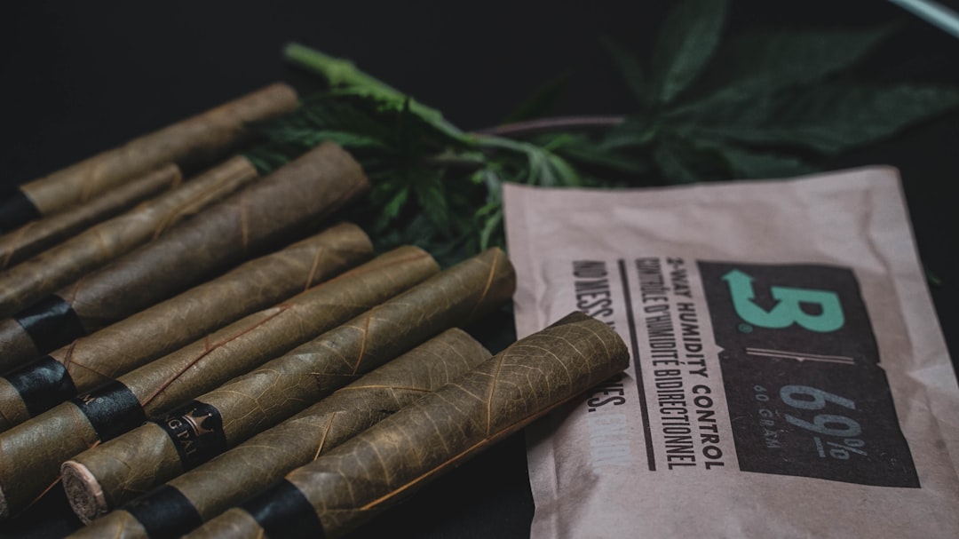 Купить качественные семена конопли онлайн в России и Украине