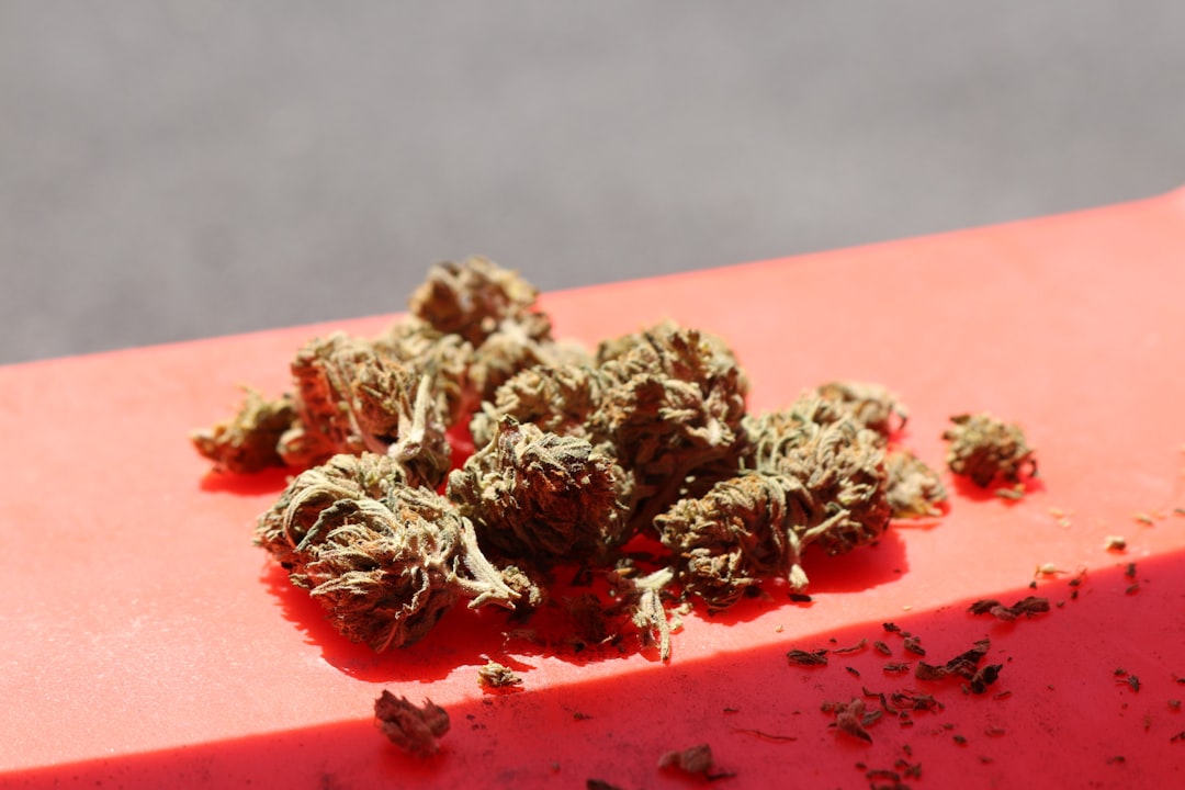 Проблема наркозависимости в Санкт-Петербурге