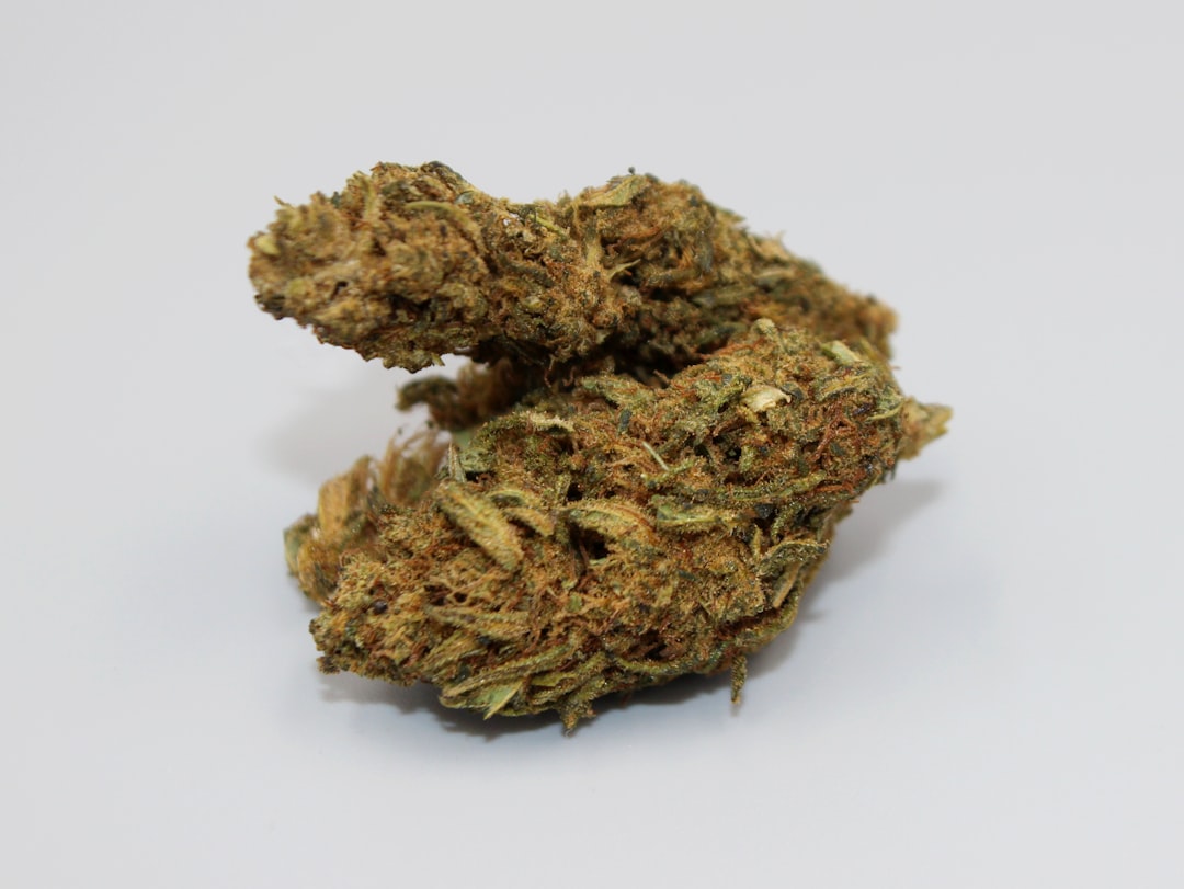 Законность приобретения семян марихуаны подробный обзор