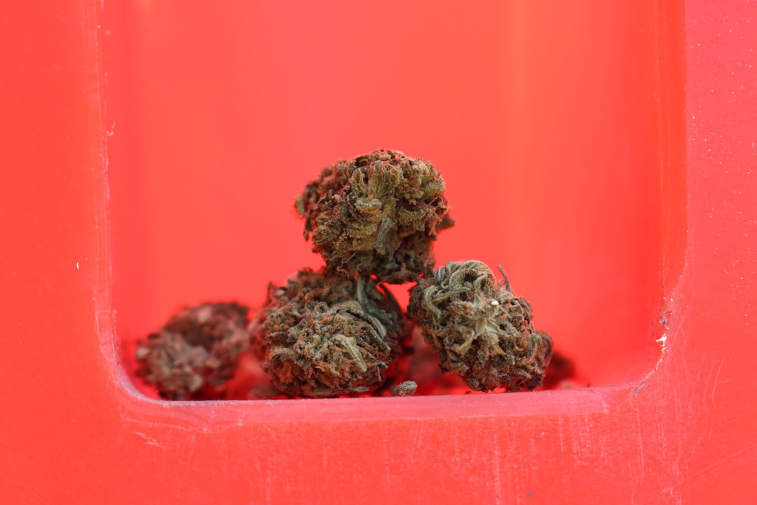 Кодеин и его применение в медицине