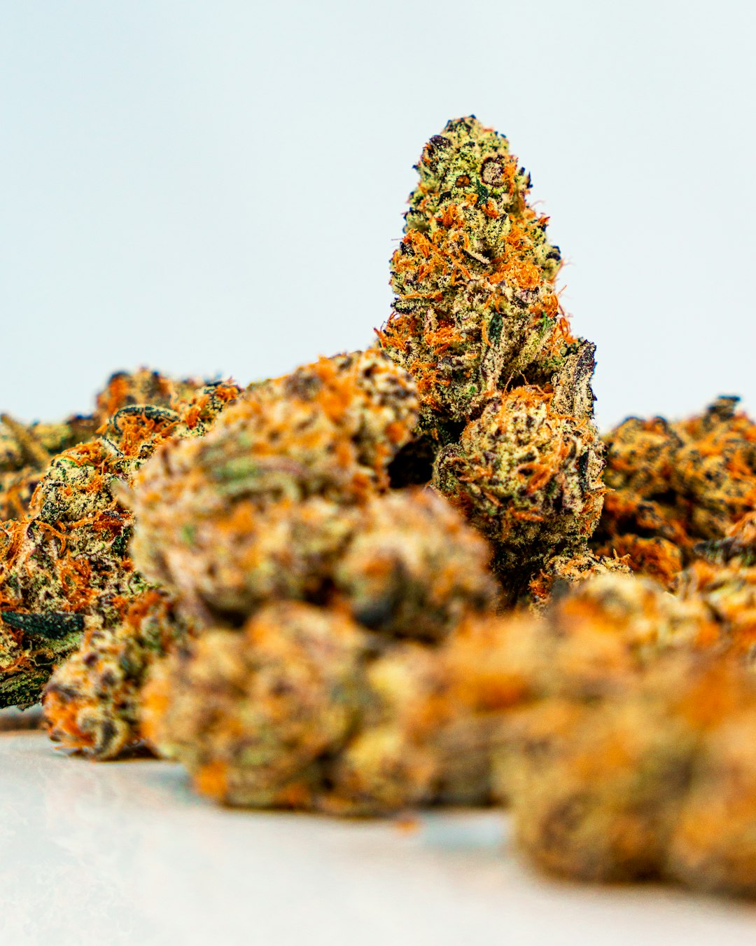 Купить коноплю онлайн в России легально и безопасно