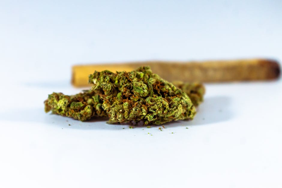 Купить марихуану в Новосибирске онлайн