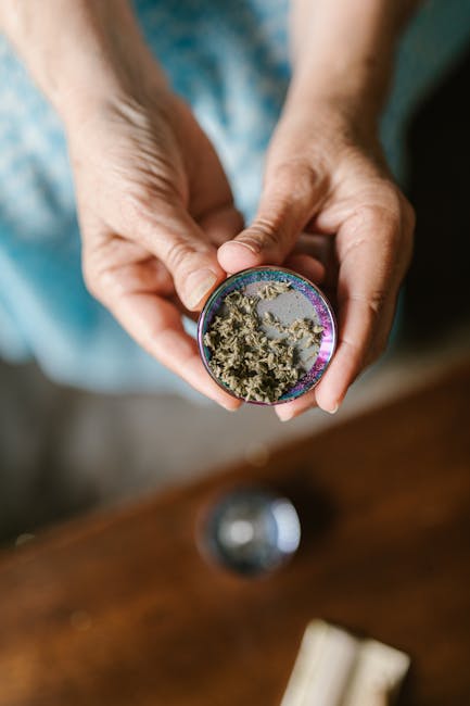 Сорт Auto Olympia feminised от Pyramid Seeds